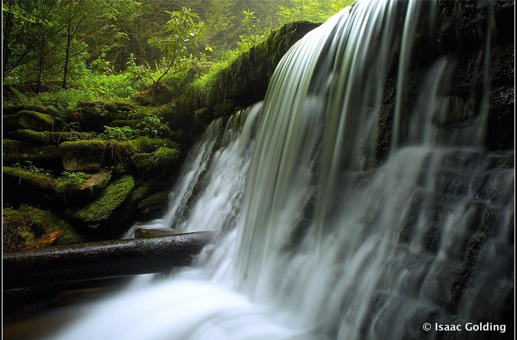 Queens Run Reservoir & Falls
