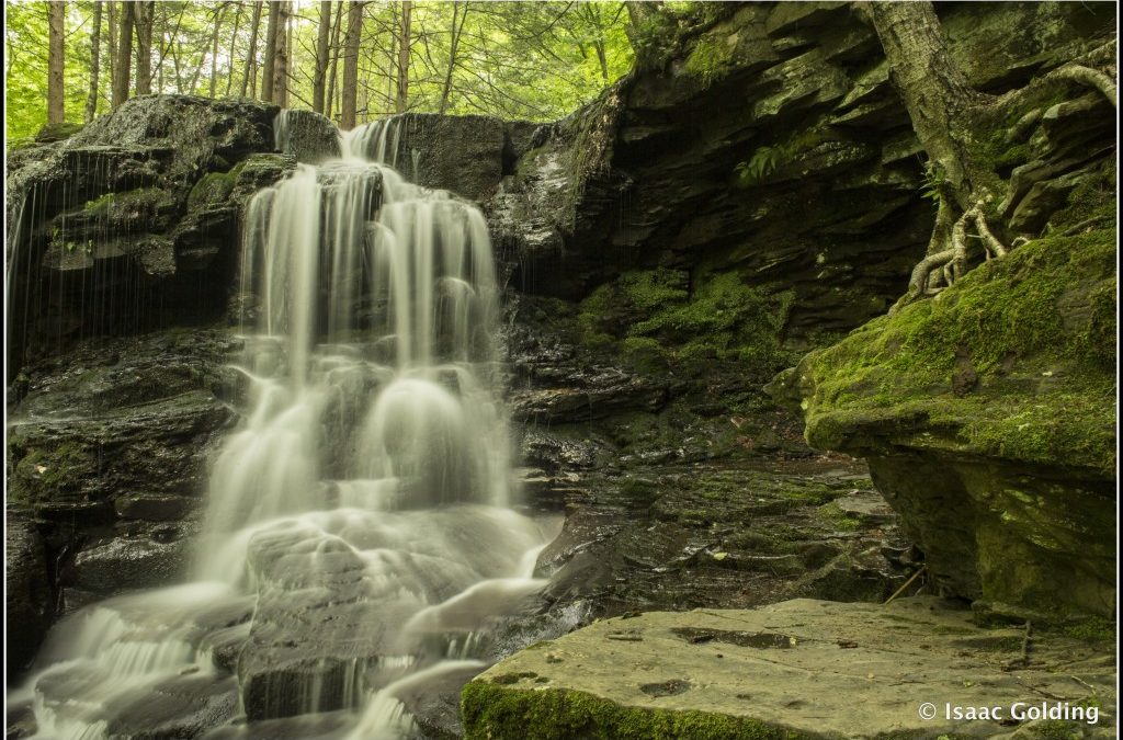 Dry Run Falls & Worlds End State Park