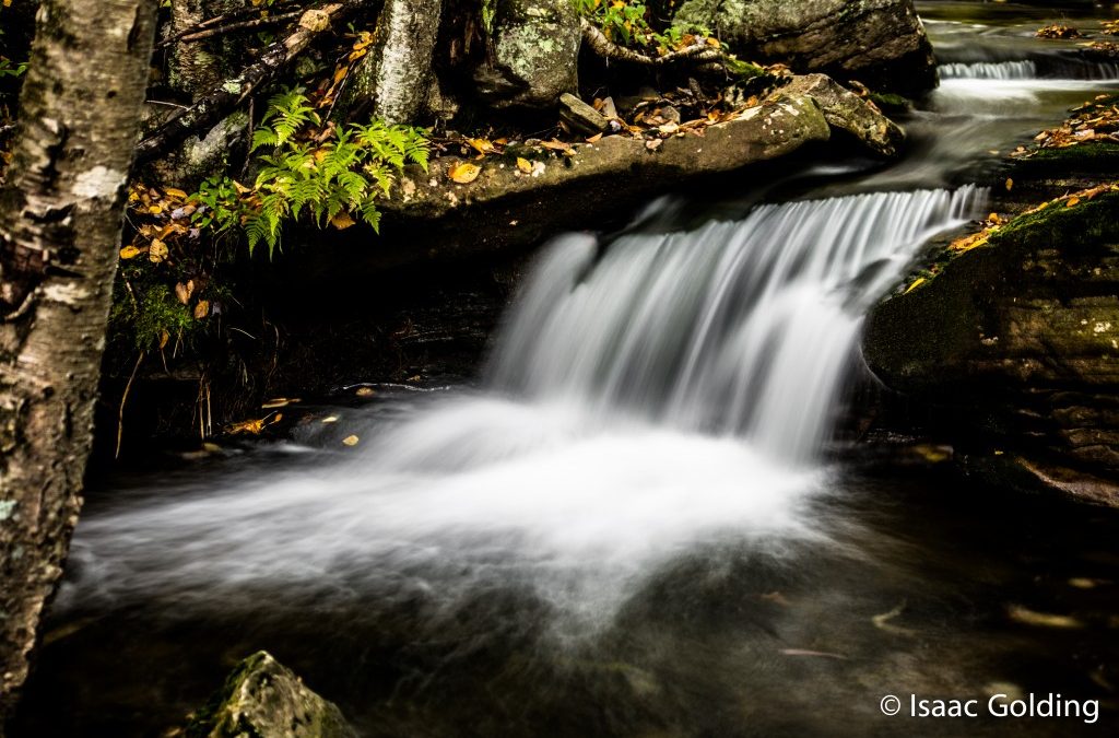 Miners Run Falls in the Fall
